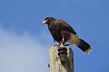 13 04 14_2899_edited-1
